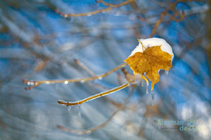 Finalist Image "Melt Me" Photographers Forum 31st Annual Spring Photography Best of Photography 2022